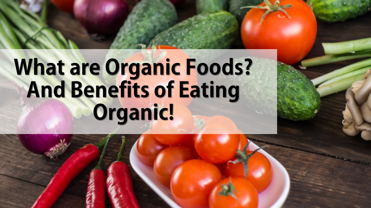 What are Organic Foods? And why should you consider it? - Organic Foods ...